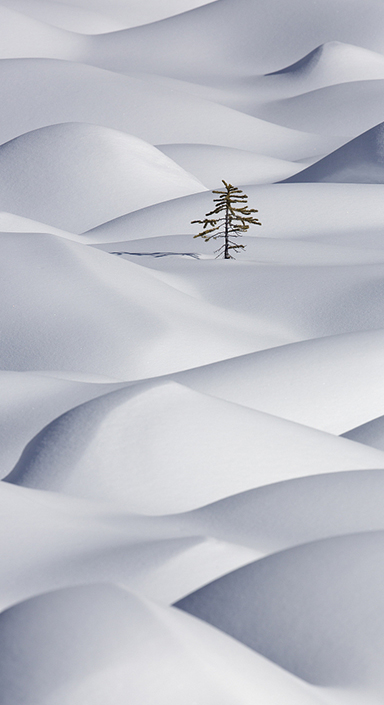 永利集团88304官网(中国)有限公司